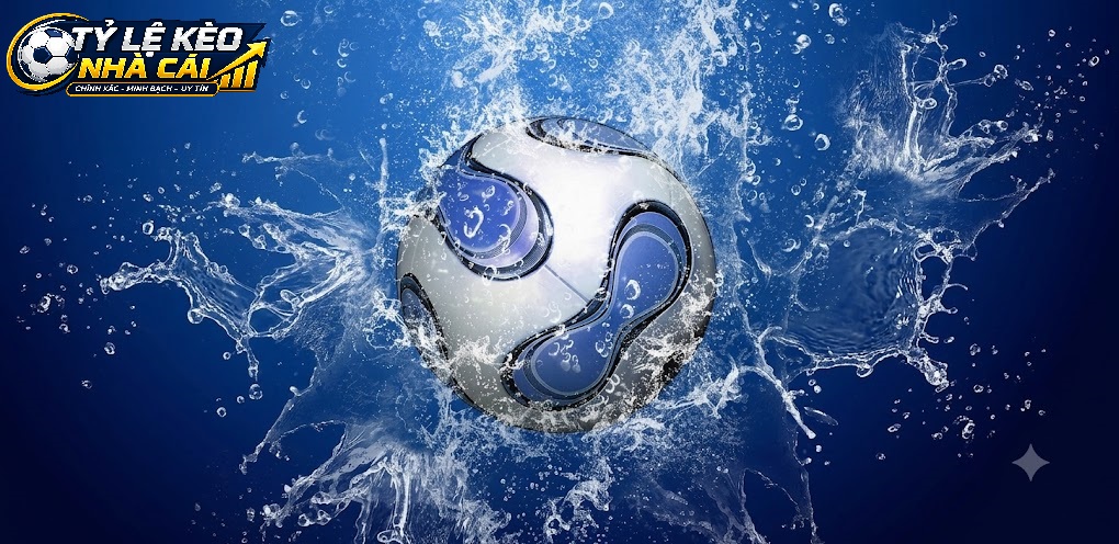 Bí Quyết Sử Dụng Livescore Hiệu Quả Cho Người Hâm Mộ Bóng Đá